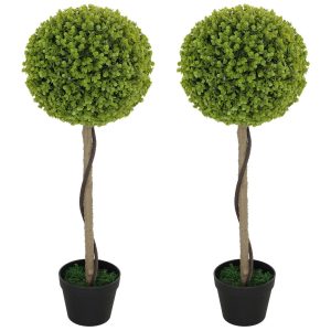 Binnenplanten – Eucalyptusboom – Set van 2 – Inclusief pot – Groen